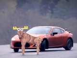 VIDEO: Pogledajte kako se Toyota našalila s moose testom